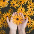 What Are Self Growth Terms?